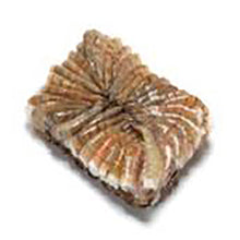 Load image into Gallery viewer, WILD Mexican Jumbo Shrimp, Block, Shell-On, 21/25, 5 lb
